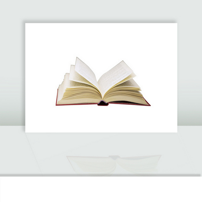 Avatar del profesor de física - Red de fluctuación de fotones | Servicio profesional de reparación de WordPress, en todo el mundo, respuesta rápida