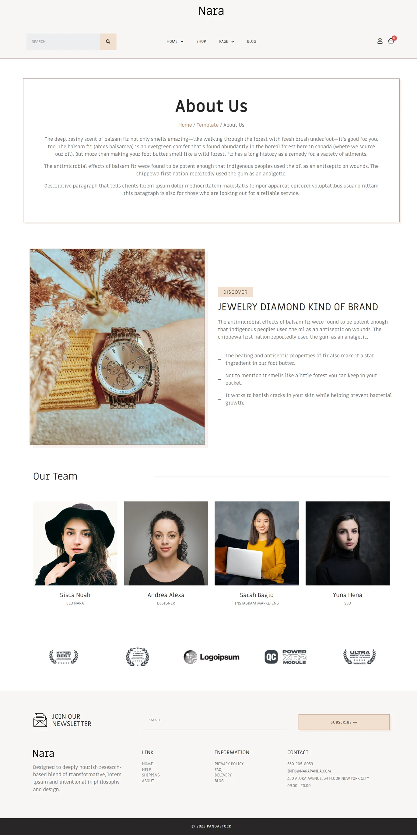 Image [1] - Nara - Jewelry Accessories Store Template Kit - Photonwave.com | Professional WordPress repair service, worldwide, fast response!