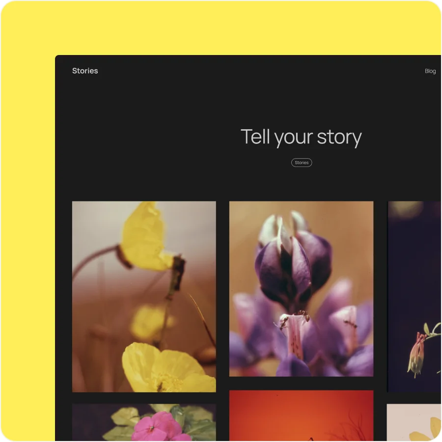 图片[2]-WordPress 6.7 “Rollins”：创新功能与灵活设计完美结合