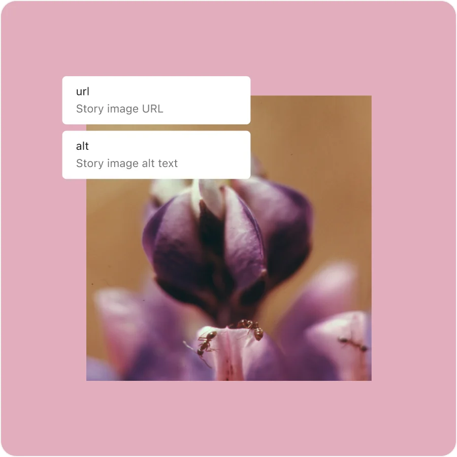 图片[4]-WordPress 6.7 “Rollins”：创新功能与灵活设计完美结合