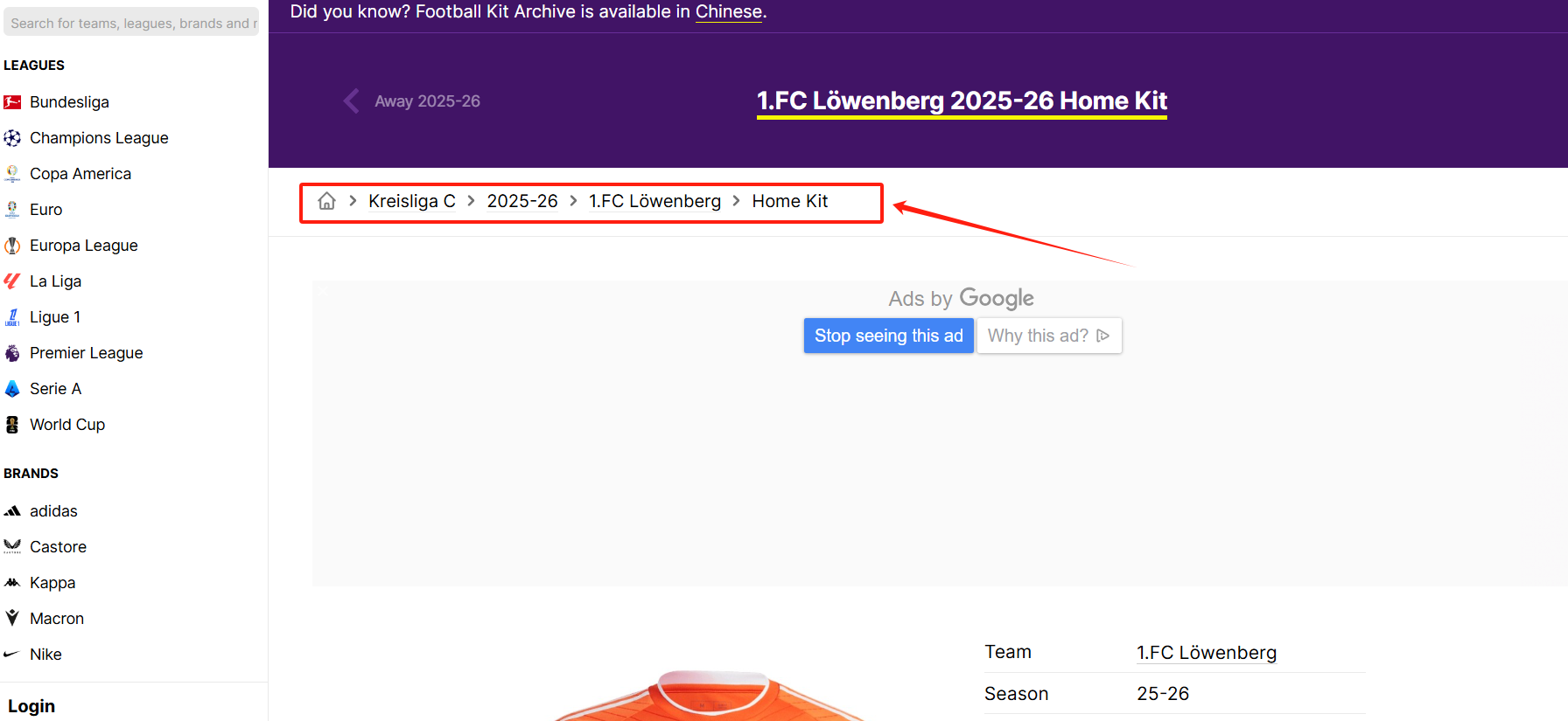 Image [5] - How to Optimize Your WordPress Site for Google Additional Links (Sitelinks)