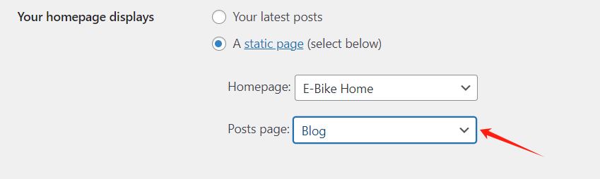 Imagen [5] - Cómo mostrar entradas de blog en páginas de WordPress | Mejorar el SEO y la experiencia del usuario