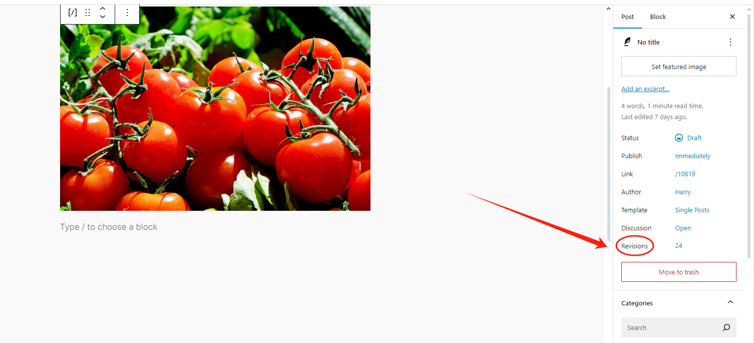 Imágenes [2] - Cómo deshacer cambios en WordPress: tutoriales detallados y consejos prácticos