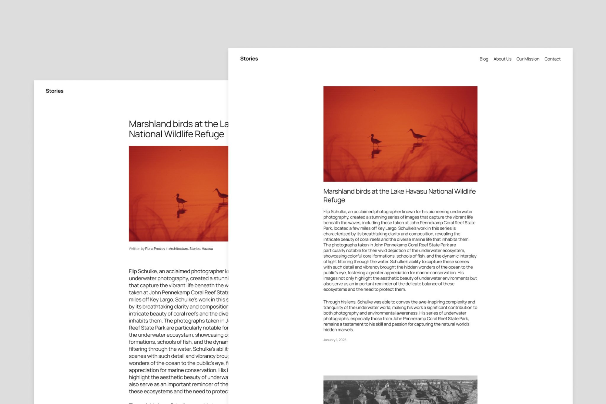 Image [15]-WordPress 6.7 New Release : Un examen approfondi des points forts et des avantages du thème Twenty Twenty-Five.