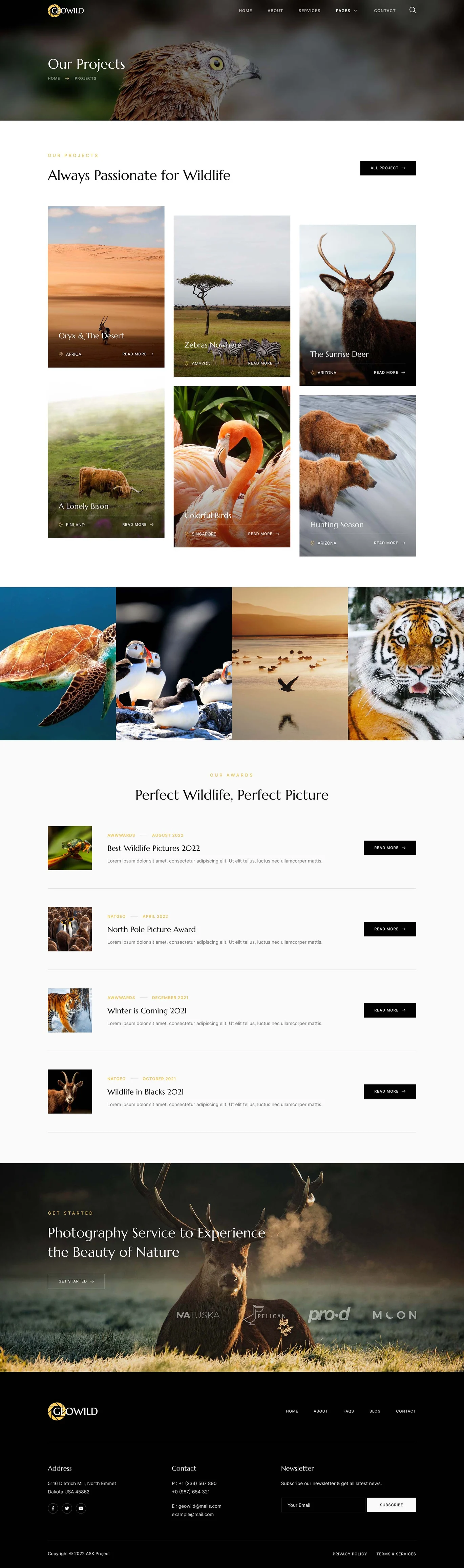 Image[2]-Geowild - Wildlife Photography Services Elementor Template Kit-photonfluctuation.com | Servicio Profesional de Reparaciones WordPress, Cobertura Global, Respuesta Rápida
