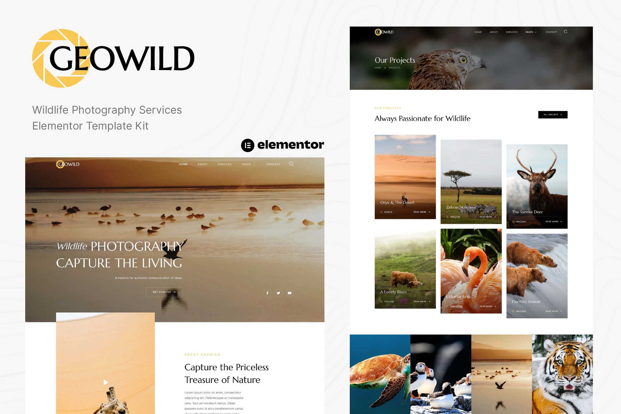 Geowild - Wildlife Photography Services Elementor Template Kit-光子波动网 | 专业WordPress修复服务，全球范围，快速响应
