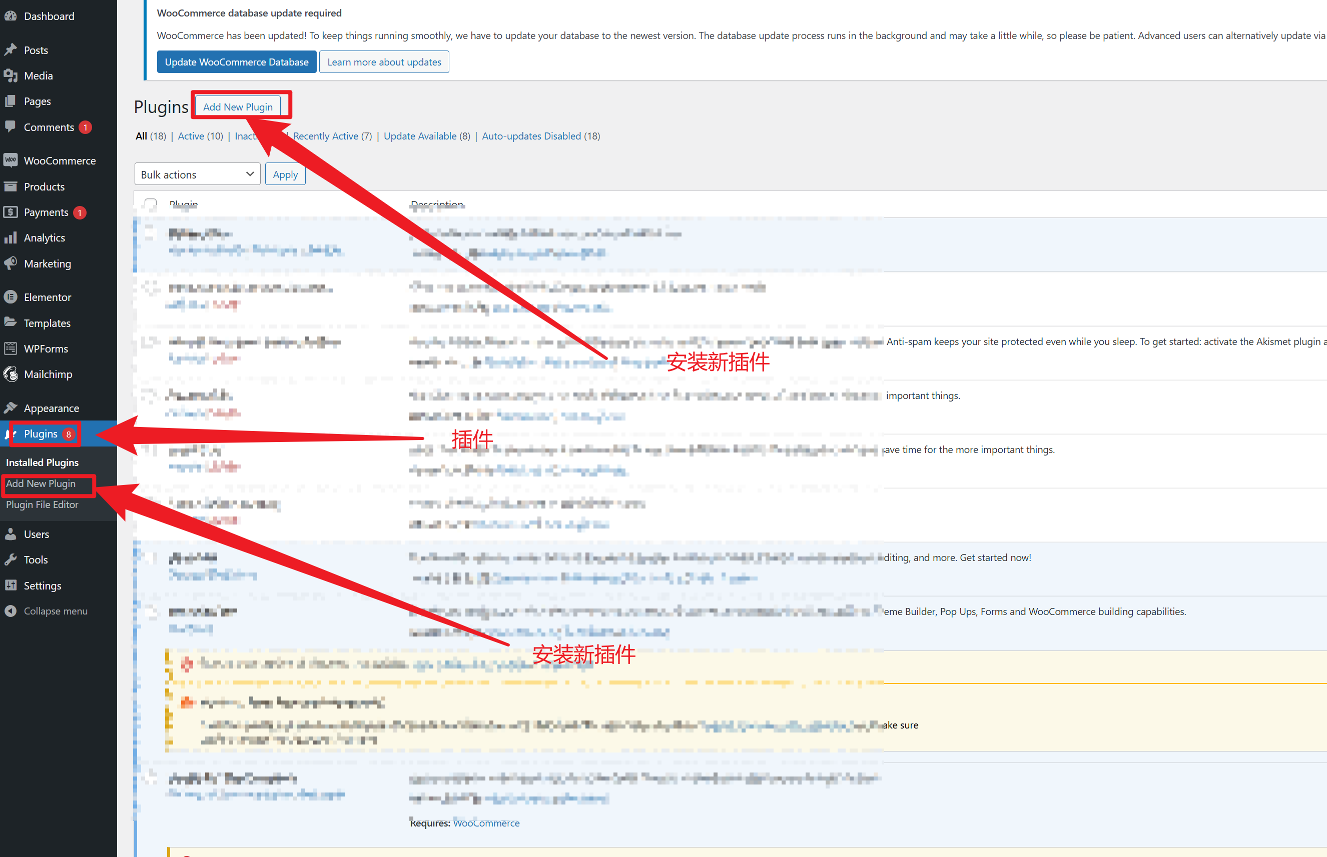 图片[5]-Hello Elementor 主题及 Envato Elements 模板库：快速打造高效网站的完整教程