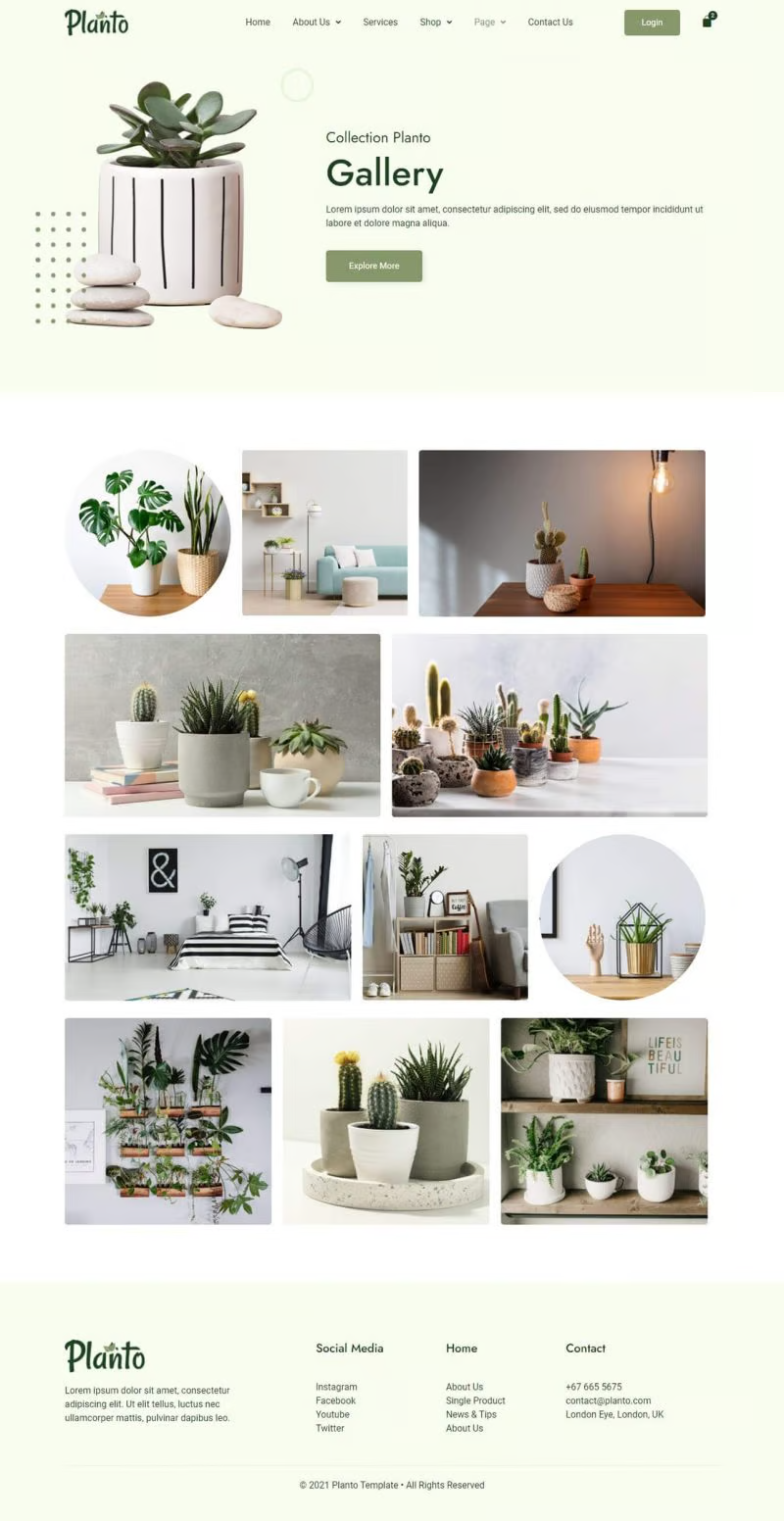 Image [2] - Planto - Green Style Elementor Template Suite - Photon Flux | Professional WordPress Repair Service, Global Reach, Fast Response