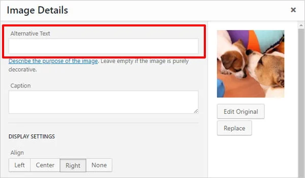图片[7]-解决WordPress特色图片不显示的问题：完整指南与优化技巧