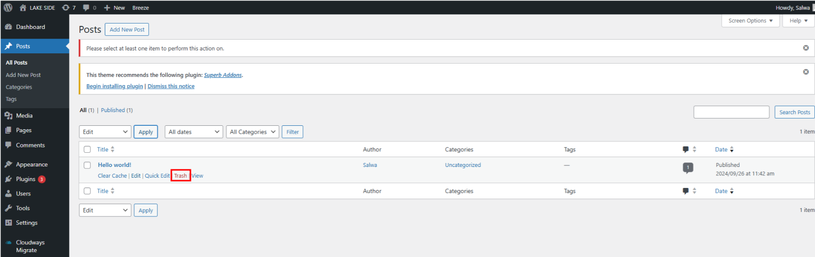 Imagen [11] - Una guía completa sobre cómo despublicar páginas, entradas y sitios web de WordPress
