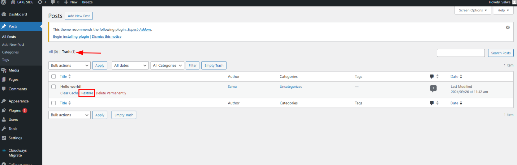 Imagen [12] - Una guía completa sobre cómo despublicar páginas, entradas y sitios web de WordPress