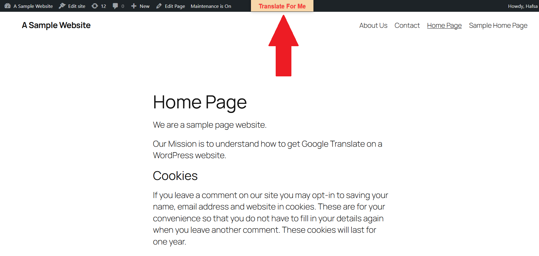 图片[11]-WordPress网站谷歌翻译集成：优化多语言SEO，提升全球可见度