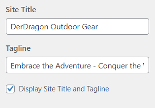 图片[5]-如何更改 WordPress 网站标题 | 步骤详解及 SEO 优化指南