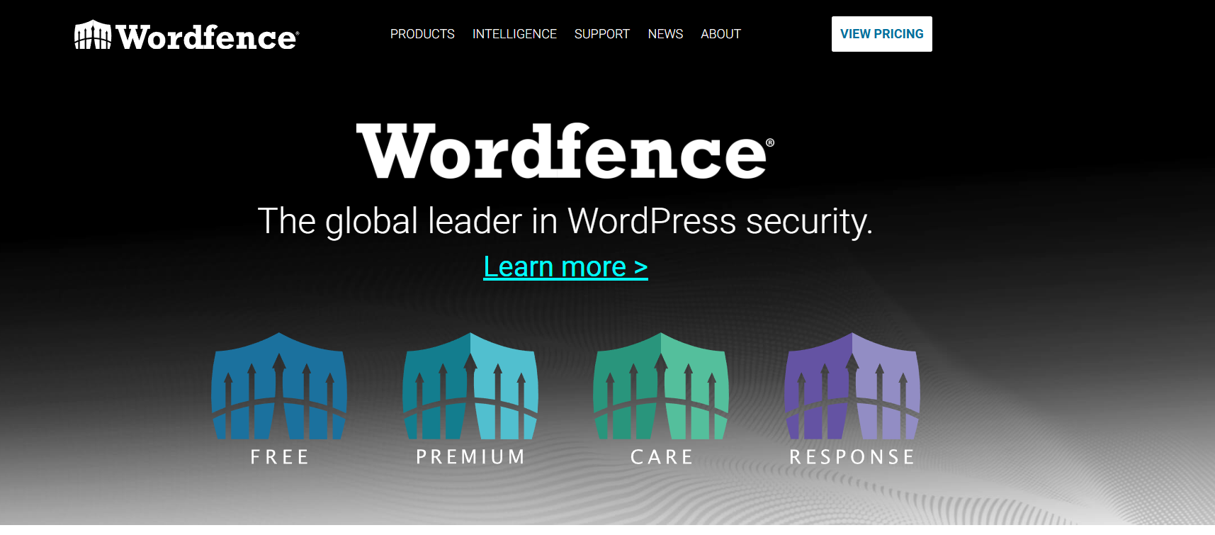图片[19]-如何使用WordPress快速搭建高质量网站：详细教程与新手指南