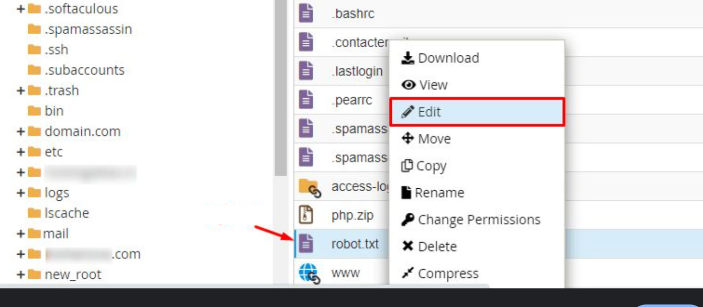 Image [4] - How to Edit WordPress Robots.txt File: A Comprehensive Guide to Improving Website Performance and SEO