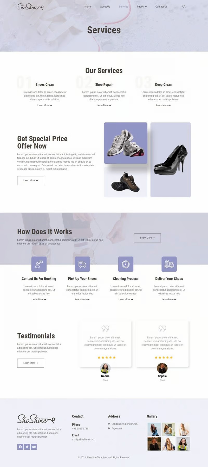 图片[1]-Shoshine：专业鞋类清洁服务 Elementor 模板套件