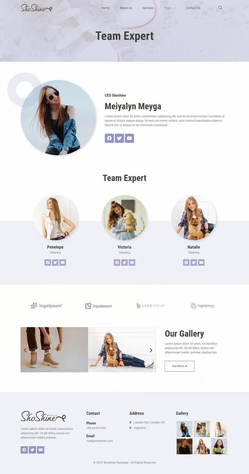 图片[3]-Shoshine：专业鞋类清洁服务 Elementor 模板套件