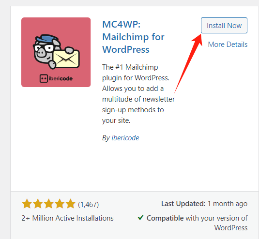 图片[6]-如何将 Mailchimp 与 WordPress 集成：提升网站流量与转化率的完整指南
