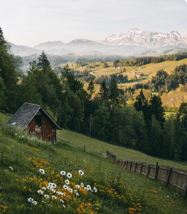 avatar de lemonstar_ - Photon Flux | Servicio profesional de reparación de WordPress, en todo el mundo, respuesta rápida