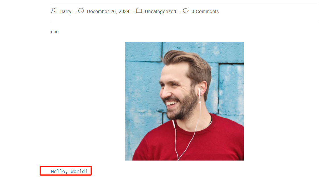 图片[7]-如何创建和使用WordPress短代码：完整指南（含按钮、图库示例）