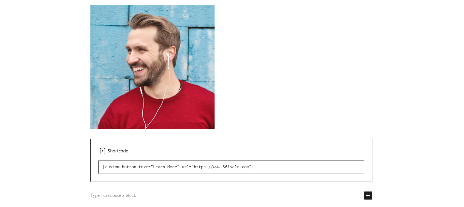 图片[10]-如何创建和使用WordPress短代码：完整指南（含按钮、图库示例）