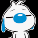 20250113232800553-1736782076652(1)