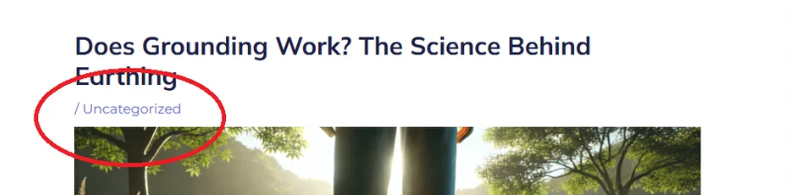 20250118235835497-image