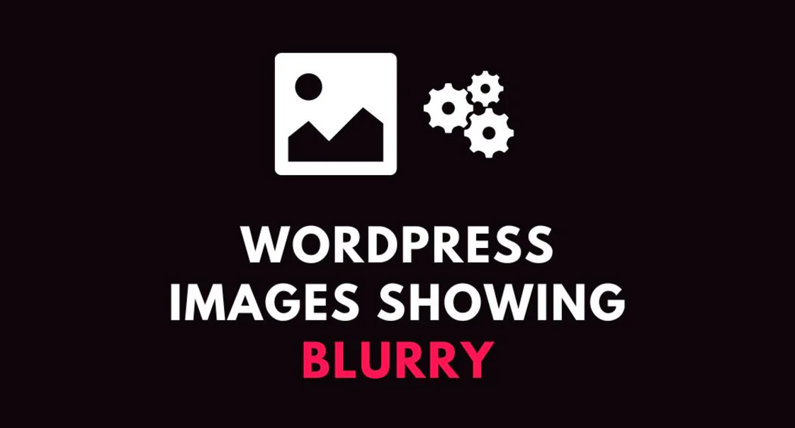 图片[1]-修复 WordPress 中的模糊图像：6 种有效的解决方法