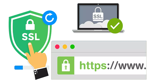 Image[1]-Multi-Domain WordPress Site Security Best Practices: Protecting User Privacy