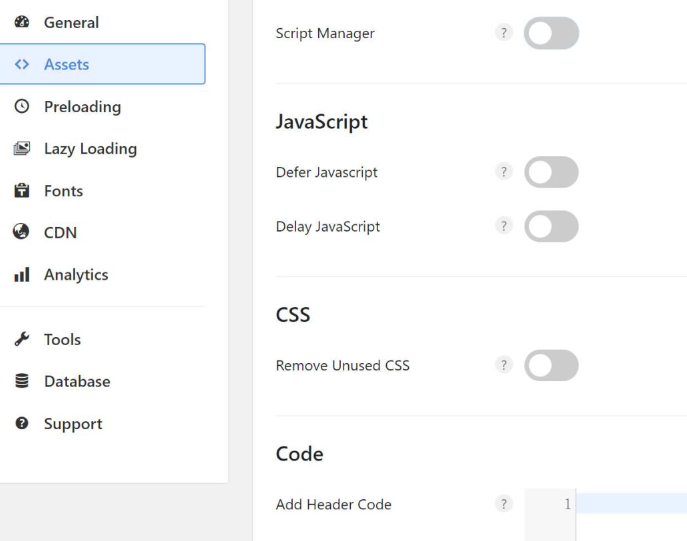 Image [3]-Paramètres avancés de Perfmatters pour optimiser les performances de WordPress