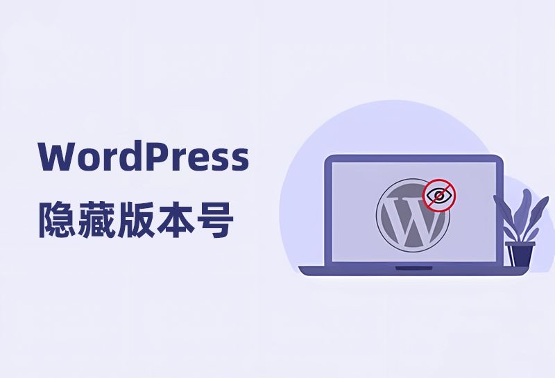 Image [6]-Paramètres avancés de Perfmatters pour optimiser les performances de WordPress