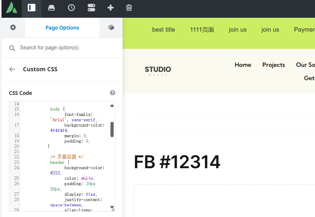 图片[13]-Avada页面标题栏设置详解：从基础到高级