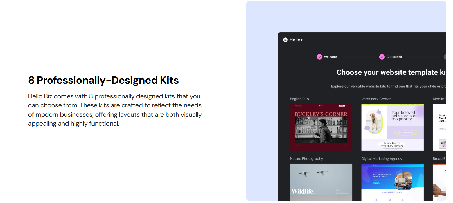 Imagen[2]-Hello Biz: un tema de WordPress adaptado para principiantes
