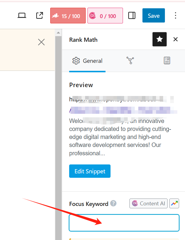 图片[10]-如何使用 Rank Math Pro SEO 分析器优化网站排名？完整指南