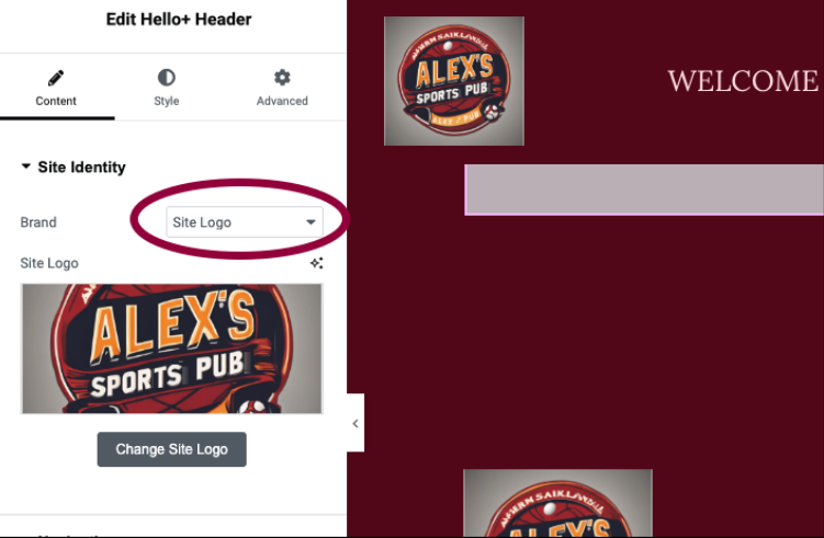 Imagen [7] - Hello Biz: ¡un tema de WordPress hecho a medida para principiantes!