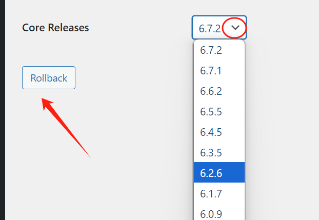 图片[12]-如何安全降级 WordPress：完整指南（手动方法 & 插件教程）