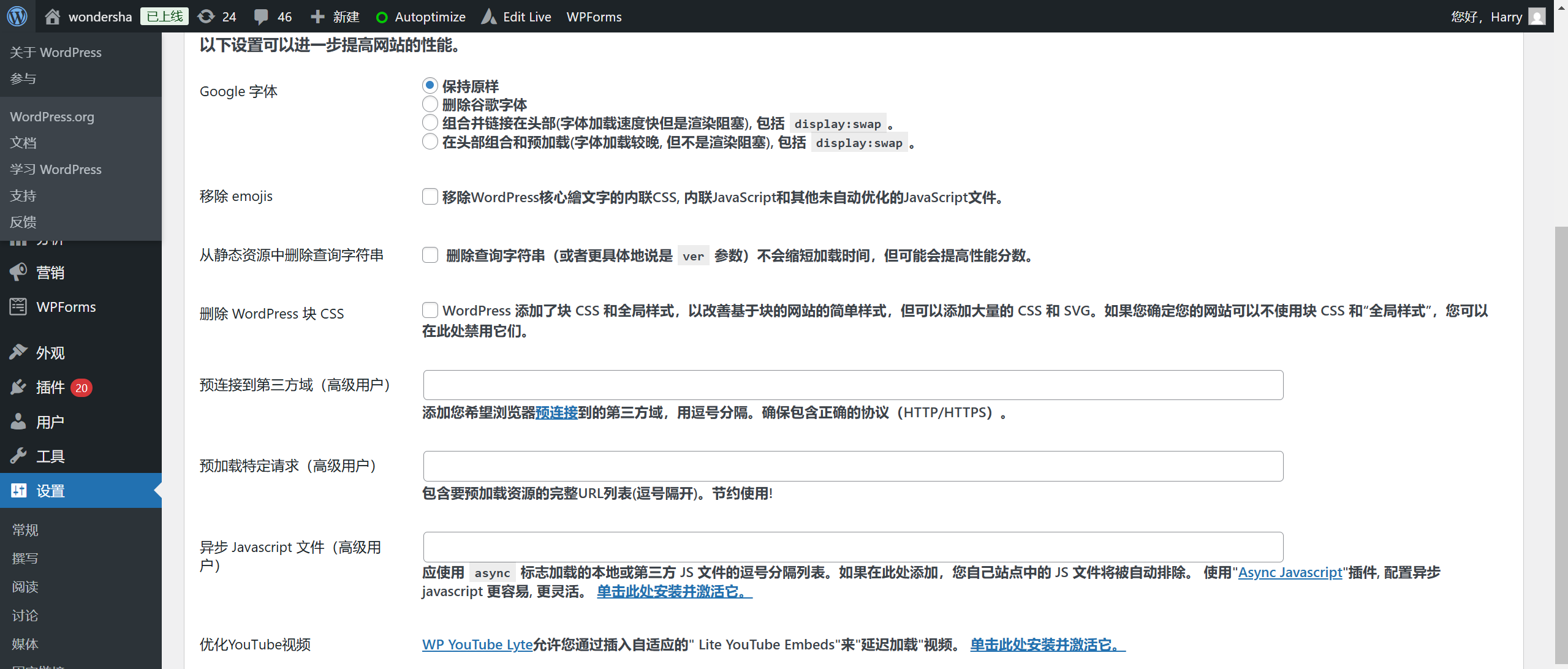 图片[8]-如何使用 Autoptimize 插件优化 WordPress 网站性能
