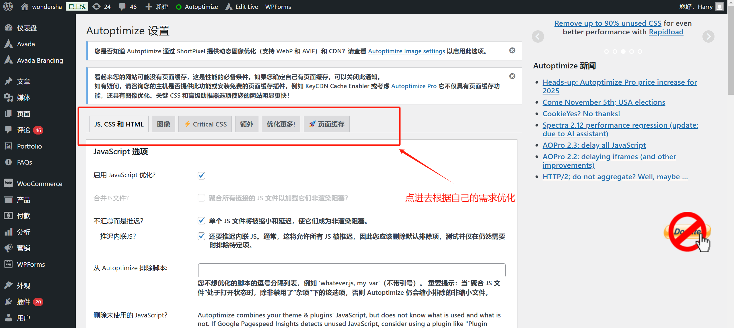 Imagen [5]-Autoptimize with WP Rocket: Maximising WordPress Performance Optimization (Optimización automática con WP Rocket: maximización del rendimiento de WordPress)