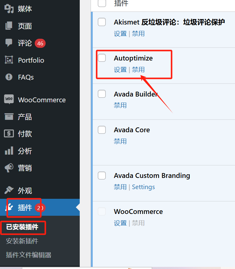 图片[3]-如何结合使用 Autoptimize 与 Cloudflare 提升 WordPress 网站速度