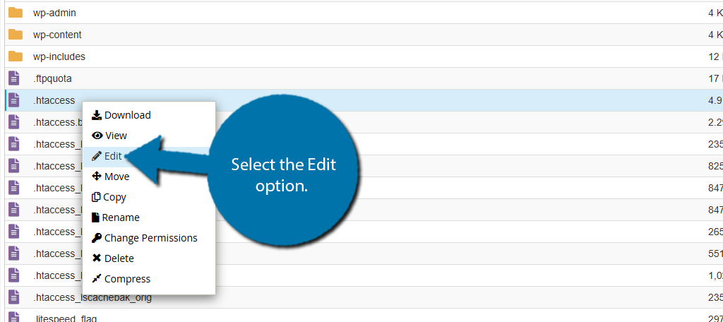 图片[7]-如何在 WordPress 中设置重定向：插件、.htaccess 和 PHP 完全指南