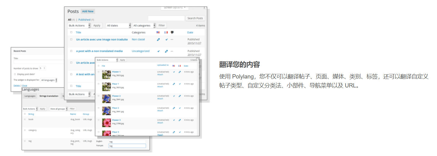 Image [2]-Polylang Plugin Guide: Implementing Multilingual Functionality on WordPress Websites