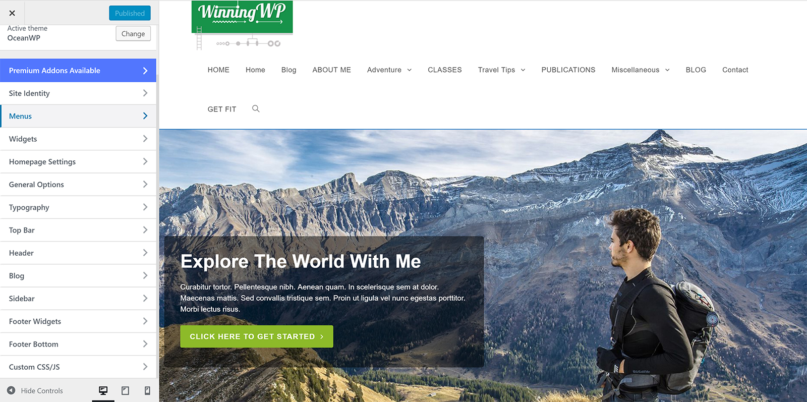 图片[4]-Astra vs OceanWP：哪款 WordPress 主题更适合不同类型的网站