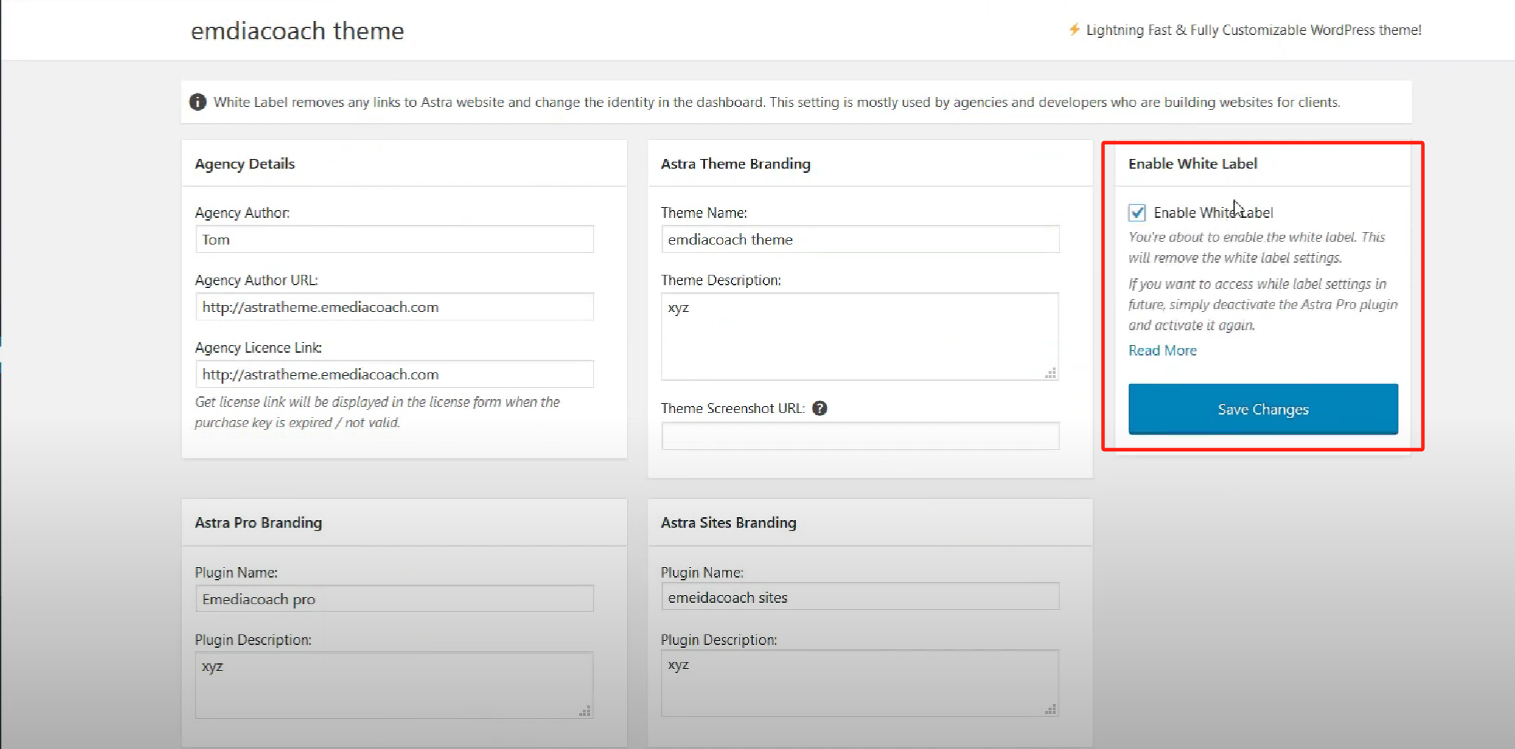 Imagen [8] - Astra Theme White Label Feature Tutorial: Cómo personalizar el logotipo de la marca y eliminar el logotipo predeterminado de Astra