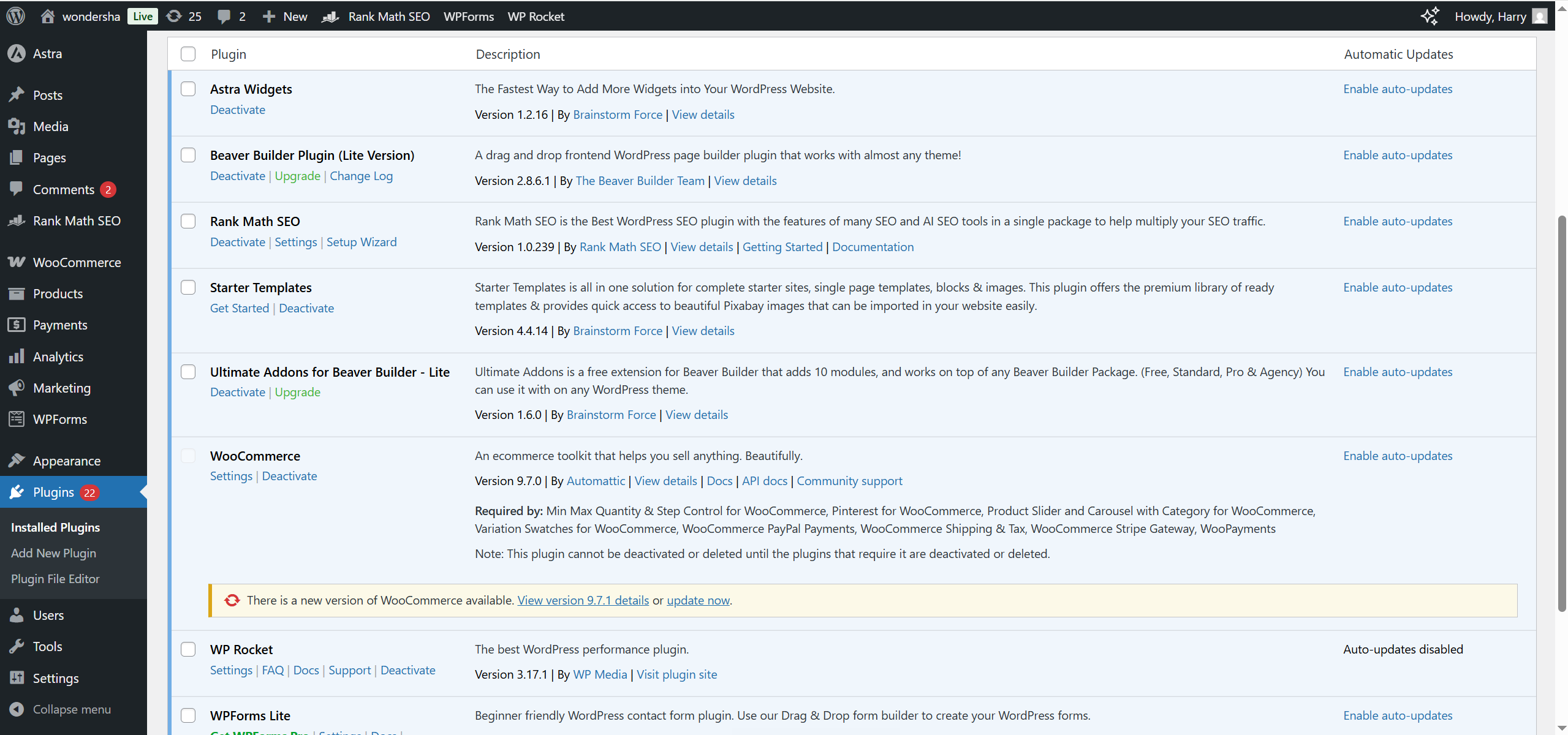 图片[16]-Astra 主题与 Beaver Builder 集成指南：创建高效个性化网站
