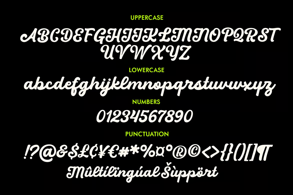 图片[2]-Black – 圆形脚本字体-光子波动网 | 专业WordPress修复服务，全球范围，快速响应