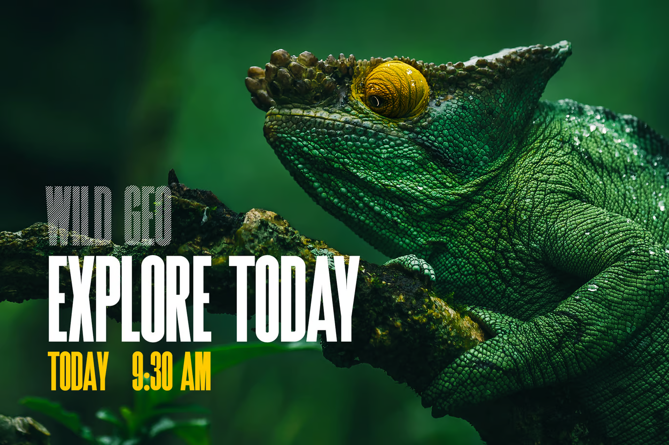 Image[2]-SuperLine Display Fonts - Photon Flux | Service professionnel de réparation de WordPress, dans le monde entier, réponse rapide