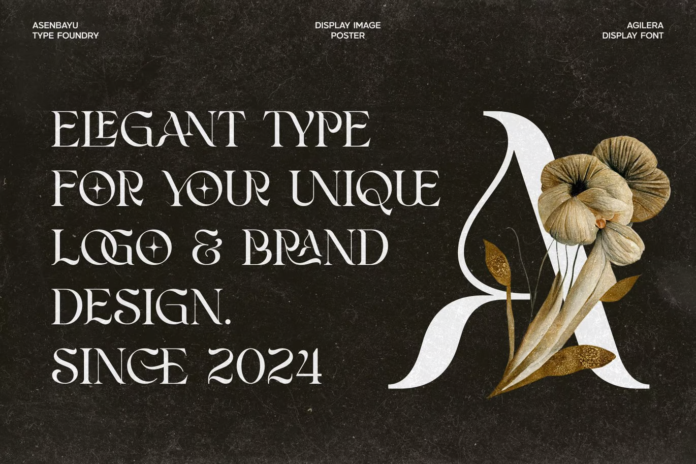 图片[2]-Agilera – 时尚弧线字体-光子波动网 | 专业WordPress修复服务，全球范围，快速响应