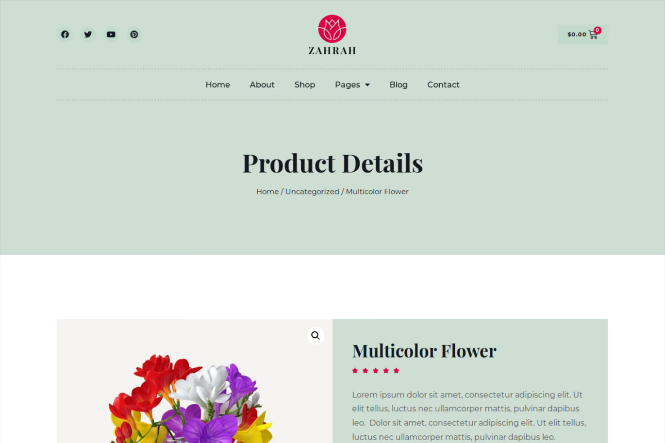 Image [3] - Zahrah - Flower Shop & Store WooCommerce Elementor Template Suite - Photon Fluctuation Network | Servicio Profesional de Reparaciones de WordPress, Cobertura Global, Respuesta Rápida