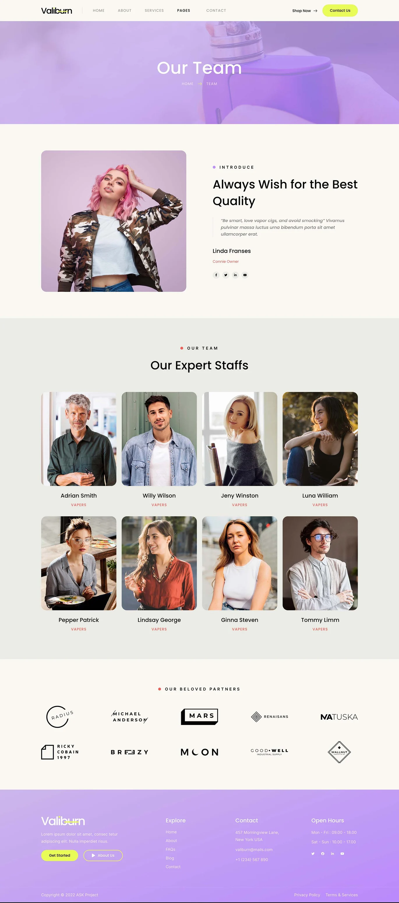 Imagen [1] - Valiburn - Vape & E-Cigarette Store Elementor Template Kit - Photon Fluctuation Network | Servicio profesional de reparación de WordPress, alcance global, respuesta rápida