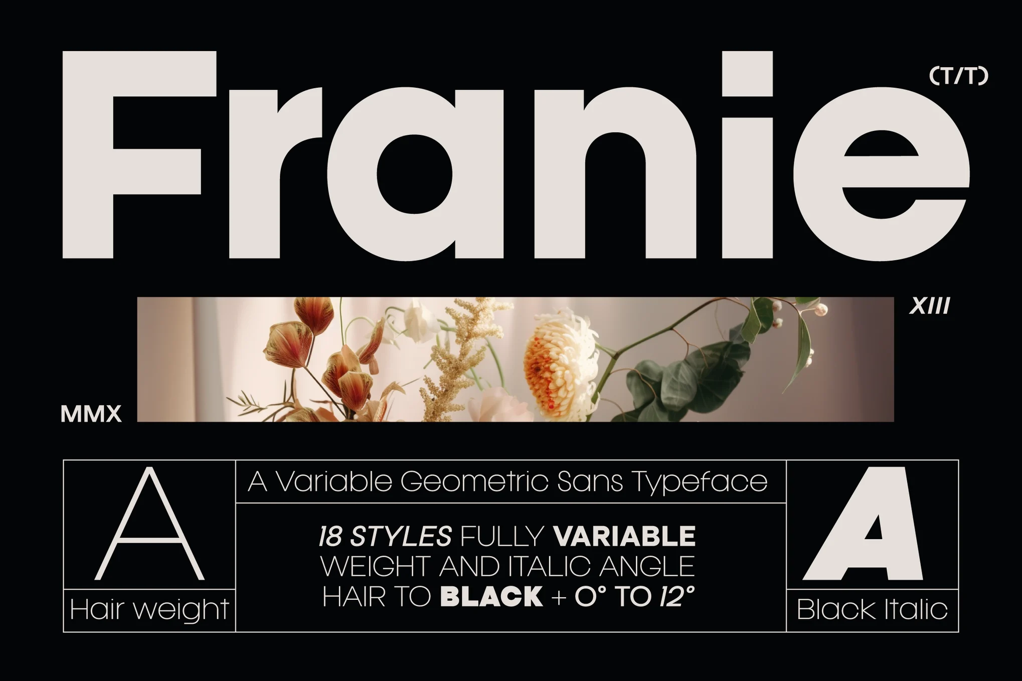Franie Geometric Sans 字体-光子波动网 | 专业WordPress修复服务,全球范围,快速响应